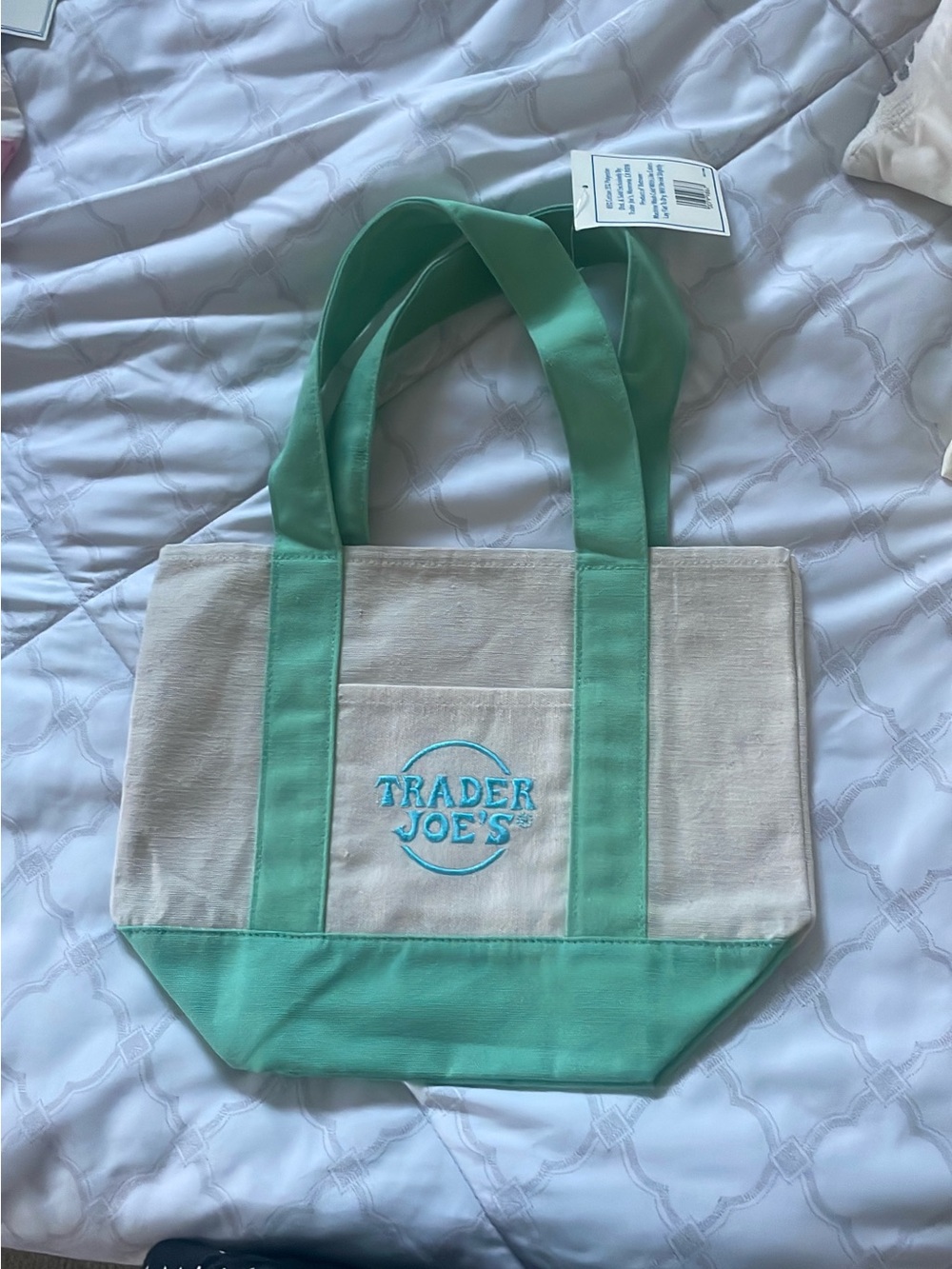 Trader Joe's Mint Green Canvas Mini Tote Bag